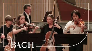 Download Bach - Concerto for two violins in D minor BWV 1043 - Sato and Deans | Netherlands Bach Society MP3