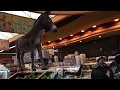 USA Supermarket Cherry Valley Marketplace NYC HARLEM A Donkey Ceiling High Stacks