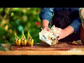 Download Lagu Grilled Banana Split | Giant Food