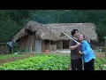 Download Lagu CEO Hung plans to give up everything to live with Ly Tieu Ca | Single mother
