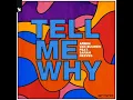 Armin Van Buuren feat. Sarah Reeves - Tell Me Why (Extended Version)