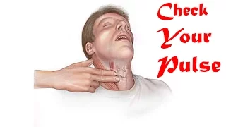 11 steps check your pulse how to check your pulse finding your pulse