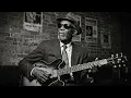 Cold Wind on Maxwell Street | Vintage Chicago Blues Night