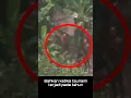Download Lagu pulau berbahaya untuk dikunjungi, primitif? #shorts #viral