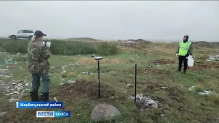 В Шербакульском районе обнаружили незаконный скотомогильник