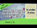 Introduction to Macromolecules in Under 3 mins AP Biology Unit 1 Topic 3 1 3