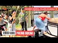 Lagu Kumpulan Video Lucu Paling Kocak Bikin Ngakak Sampai Perut Sakit | Komedi Lucu #funnyvideo 