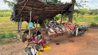 THERAPEUTIC! Elderly Grandpa Preps HUGE Fish at the Biggest Stall in a Rural Paradise