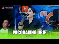 Download Lagu PACOBANING URIP - ICHA KISWARA - OM SAVANA SAKJOSE - THE WEDDING ( LUCKYTA \u0026 ANDI )
