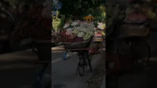 يالي ابتديت الحب معاك عمري عمرى الحقيقي ابتدا وياك 