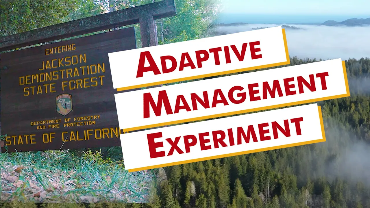 Jackson Demonstration State Forest: Adaptive Management Experiment