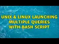 Unix Linux Launching Multiple Queries With Bash Script 2 Solutions