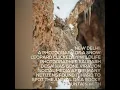 Camouflaged Snow Leopard Image In Himachal Pradesh Goes Viral