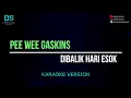 Download Lagu Pee wee gaskins - dibalik hari esok (karaoke version) tanpa vokal