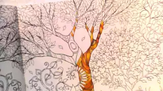 Enchanted Forest Coloring Book Tutorial