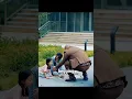 Download Lagu #fypage #movie #drama #fentysuperbrandday #film #asiandrama #movies #chinesedrama #kdrama