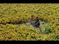 She & Him - In The Sun (Sub. Español)
