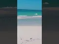 Download Lagu DESTIN HAS THE BEST BEACHES IN FLORIDA💯🌊 #allthingsemeraldcoast #florida