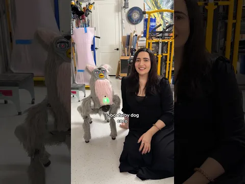 things in @EvanAndKatelyn’s studio that just make sense 🤌🤖🐩🎃🔮🦵