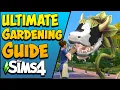 Gardening in The Sims 4 Updated for Seasons