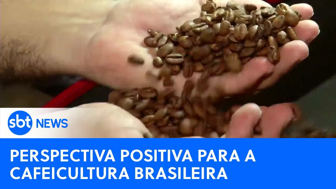 Novo ciclo para a cafeicultura brasileira | #SBTNewsnaTV (21/08/23)