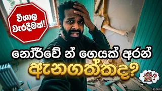 බිත්ති ඇතුලෙ ලී කුඩු පුරවලා|අවුරුදු 100 පරන නෝර්වේ ගෙදර හැදුවා Episode 01