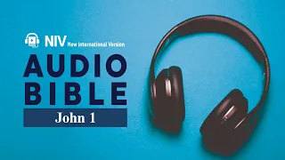 John 1 NIV BIBLE ENG