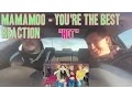 Lagu Mamamoo - You're the Best MV Reaction (Non-Kpop Fan) \