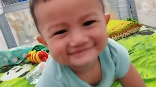                     دندنها