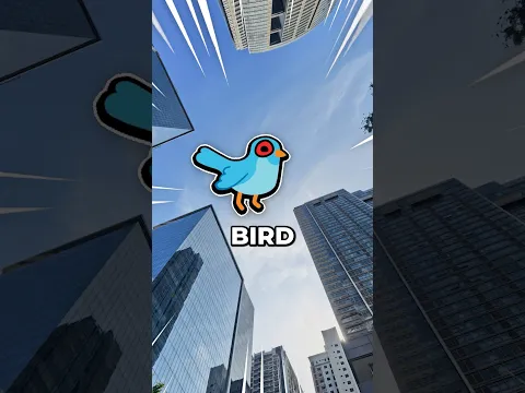 How I’d Survive as a Bird