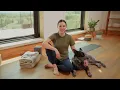Flow - Day 4 - Movement