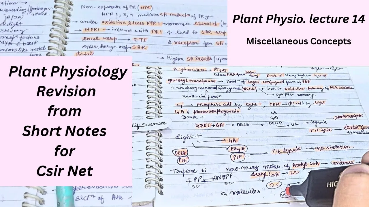 Plant Physiology Revision | Short Notes for CSIR NET, GATE, DBT, ICMR