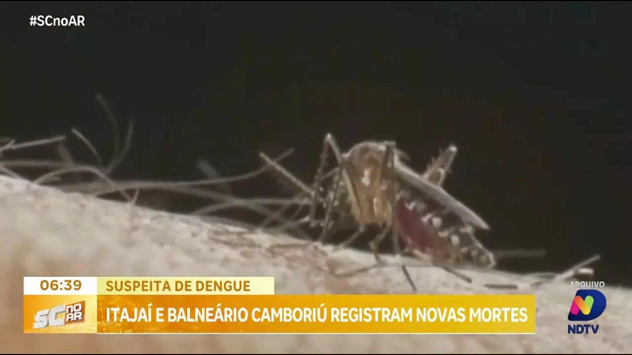 Suspeita de dengue: mortes são registradas em Itajaí e Balneário Camboriú