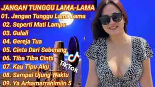 jangan tunggu lama lama cici paramida viral tiktok cover reggae 2025
