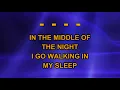 Billy Joel - River Of Dreams (Karaoke)