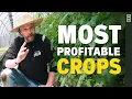 15 MOST PROFITABLE Crops For Small Farms Market Gardens