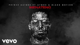 prince kaybee menateng visualizer ft aymos black motion