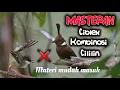 Lagu Kombinasi masteran ciblek mix cililin materi mudah masuk #ciblek #cililin