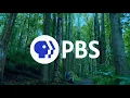 - WETA close You re Watching PBS 2023