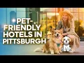Pet Friendly Hotels in Pittsburgh Where to Stay in Pittsburgh with Pet