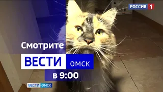 «Вести Омск», утренний эфир от 31 августа 2023 года