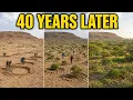 He NOTICED One WEIRD Thing in 1983 Decades Later Scientists Couldn t Believe the Result