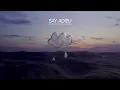 Lonely in the Rain - Say Adieu (with Yorina) [Official Visualizer]