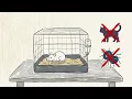 The Rat Park Experiment 