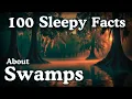 The Most Relaxing Facts About Swamps to Fall Asleep To No Adverts