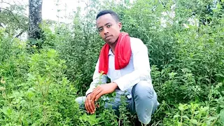 manzuumaa us daawud mhamud haarawa buufadha