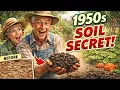 Stop Buying Manure Turn Dead Dirt Into Black Soil
