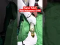 Download Lagu Menakjubkan! inilah Bagian Tubuh Nabi Muhammad yang Masih Bisa Kita Lihat