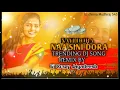 Download Lagu NAYI DORA NAA SINI DORA dj  Song