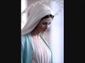 Download Lagu THE JOYFUL MYSTERIES